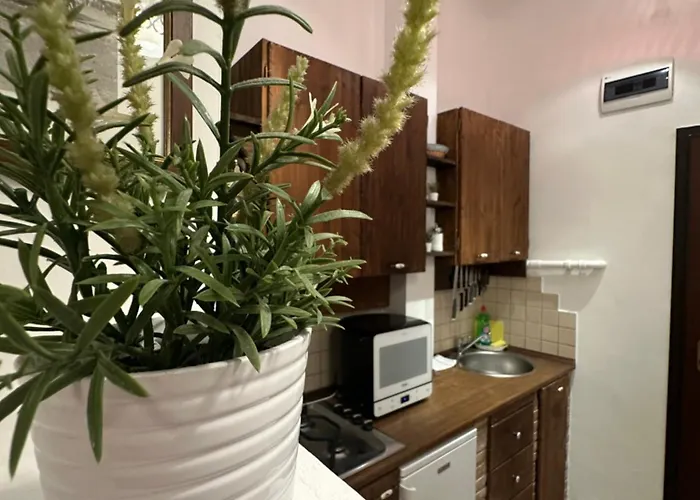 Vaci Bliss By Downtown With Free Parking Apartament