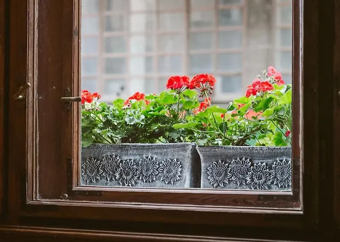 Vaci Bliss By Downtown With Free Parking